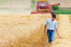 ENGENHARIA AGRONÔMICA